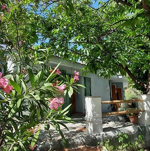Alpujarra Guesthouse, Sustainable Mountain Accommodation At 1100M Above Sealevel, 15 Min From Spatown Lanjaron photos Exterior