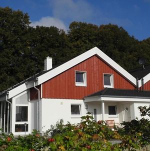 Villa Seeblick-Nordhorn photos Exterior