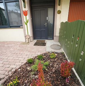 Tulip Home photos Exterior