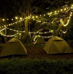 Wilde Troupe - Camping Grounds photos Exterior