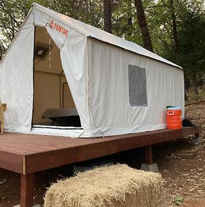 Tentrr Signature Site - Norcal Red Dog Ridge Base Camp photos Exterior