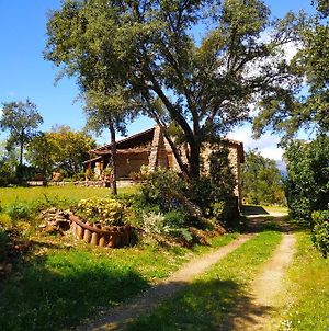 La Simona Casa Rural photos Exterior