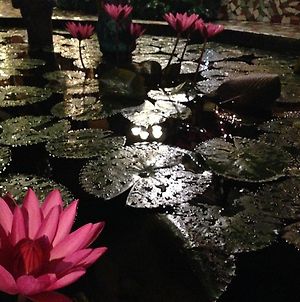 The Lotus Garden photos Exterior