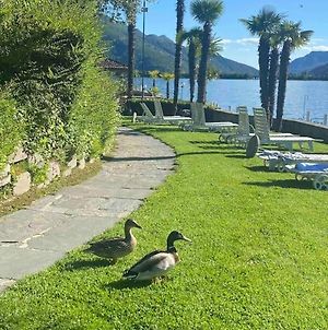Holidays On The Lake Lugano photos Exterior