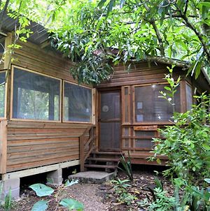 Iguana Roost Tourism Gold Standard Fully Equipped Two Bedroom Cabin photos Exterior