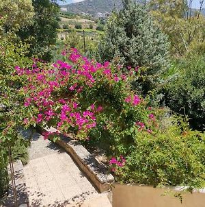 Cretan Villa With Mountain View photos Exterior