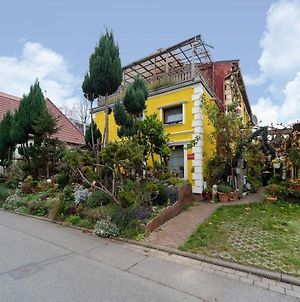 Antique Apartment In Wismar Mecklenburg With Garden photos Exterior