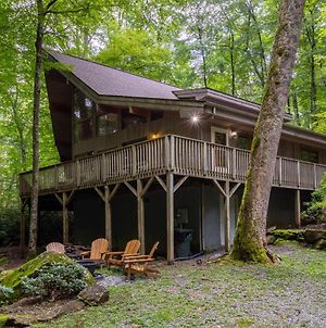 Gait To Paradise - 15 Minutes To Boone, Completely Private, Creek In Back Yard photos Exterior