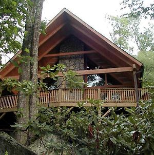Farallon- Cozy Cabin In Valle Crucis With Hot Tub, Fire Pit, Pet Friendly photos Exterior