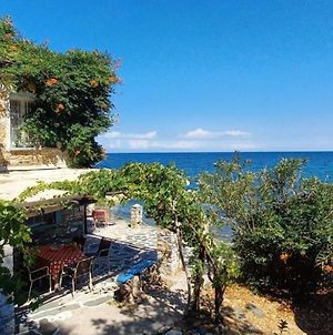 Pilion-Unique House At The Aegean Sea photos Exterior