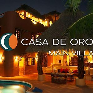 2 Bedroom Beachfront Villa - Casa De Oro photos Exterior