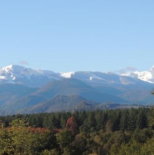 Pas De La Bacquere - Gite Au Milieu Des Bois Avec Vue Sur Les Pyrenees photos Exterior
