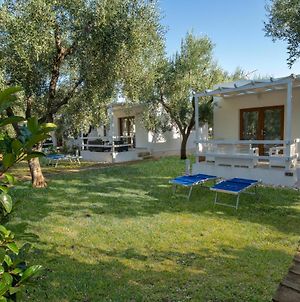 Saracena Holiday Home Featured With Private Beach And Swimming Pool photos Exterior