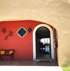 Beautiful 2 Villas For 16 Guests At Cabo photos Exterior