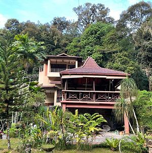 Purimai Jungle House In The Heart Of Kuala Lumpur photos Exterior
