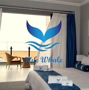 Blue Whale Hotels photos Exterior