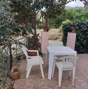 Apartment With 2 Bedrooms In Provincia Di Livorno With Wonderful Mountain View Enclosed Garden And Wifi photos Exterior