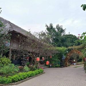 Hoa Mai Vien Soc Son - Venue Travel photos Exterior