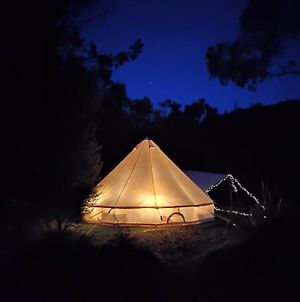 Glamping At Zeehan Bush Camp photos Exterior