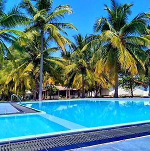Pearl Oceanic Resort - Trincomalee photos Exterior