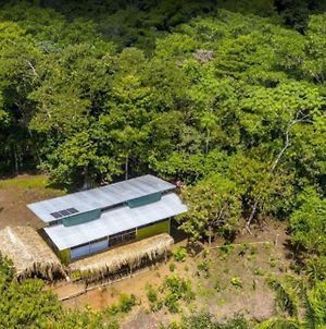 Osa Jungle Private Reserve photos Exterior