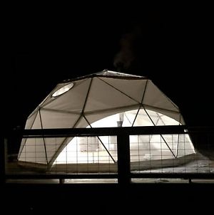 Stargazing Glamping Dome photos Exterior