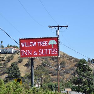 Willow Tree Inn & Suites photos Exterior