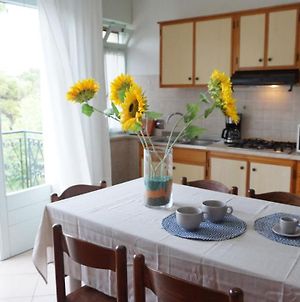 Fantastic Flat In A Quiet Villa With Terrace In Lignano Pineta photos Exterior