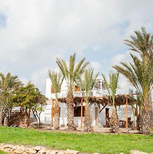 Palmhouses photos Exterior