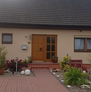 Modern Holiday Apartment With Large Garden 500 M Away From The River Moselle photos Exterior