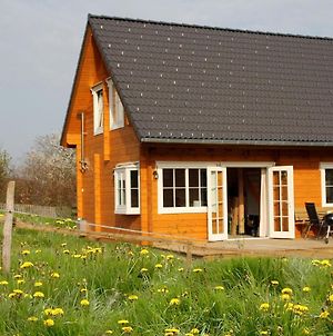 Wooden Holiday Home In Wissinghausen With Private Sauna photos Exterior