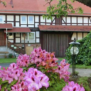 Family Friendly Holiday Home In Alheim Obergude With Garden photos Exterior