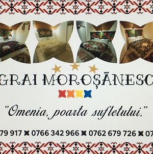 Casa Grai Morosanesc photos Exterior