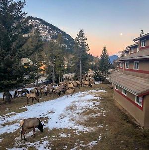 Hi Banff Alpine Centre - Hostel photos Exterior