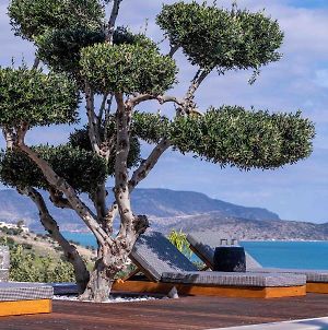 The Olive Tree Villa Elounda photos Exterior