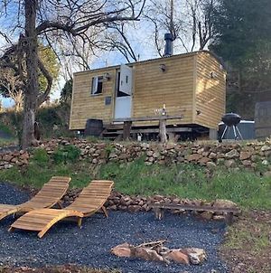 Orchard Valley Shepherds Hut With Jacuzzi photos Exterior