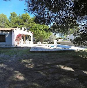 Villa Villa Nido photos Exterior