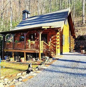 Comfy 2 Bedroom Cabin In The Heart Of Maggie Valley photos Exterior