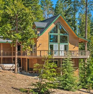 Lovely Camp Connell Cabin With Private Hot Tub! photos Exterior