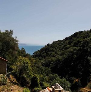 Leremo Rifugio Escursionistico Nel Parco Di Portofino photos Exterior