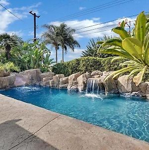 California Palm Tree Oasis - True Socal Experience photos Exterior
