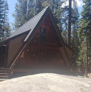Awesome A-Frame! Ski In Ski Out And Dog Friendly! Home 216 Home photos Exterior