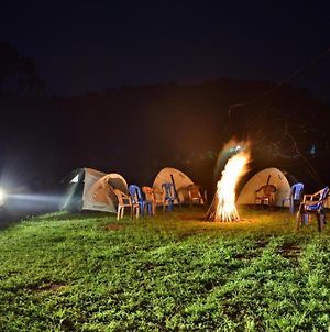 Starlight Camp & Tents photos Exterior