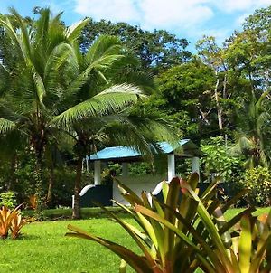 Casa Caribe On 2-Acres Of Jungle Garden With Pool photos Exterior