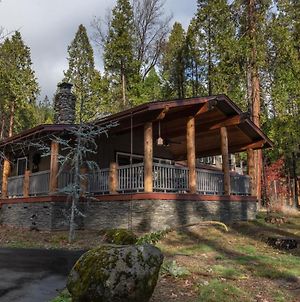 Starlight Lodge photos Exterior