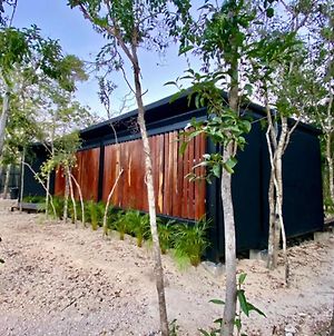 Room In The Jungle + Private Natural Cenote photos Exterior