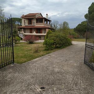Villa Dimitris photos Exterior