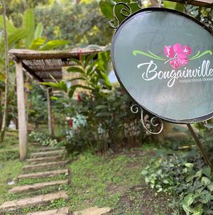 Bougainville Toque Toque Grande photos Exterior