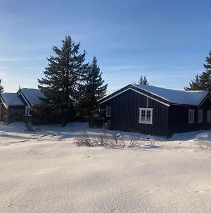 Grand Cabin With Sauna, Annex, Ski Inout Hafjell photos Exterior