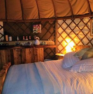 Cosy And Inviting Waterside Luxury Yurt photos Exterior